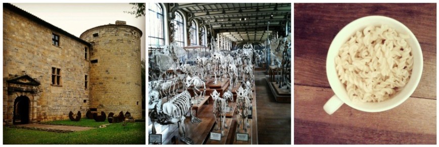 mosaic9ad4815b222cd9933b724a7cd0c7d1f42dbfd3fa