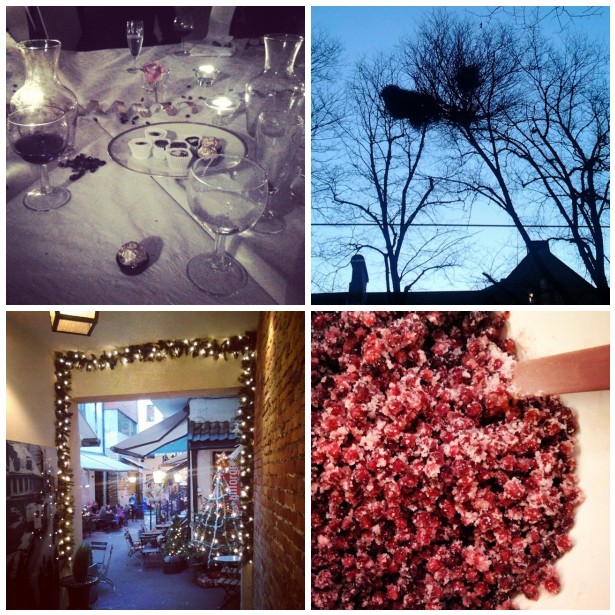 mosaic1d1b97e754ee9da9f3fc66b9bb7a49bcca791094